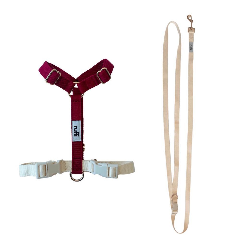 Harness and Leash Set - Cream