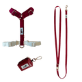 Harness Walk Set - Berry