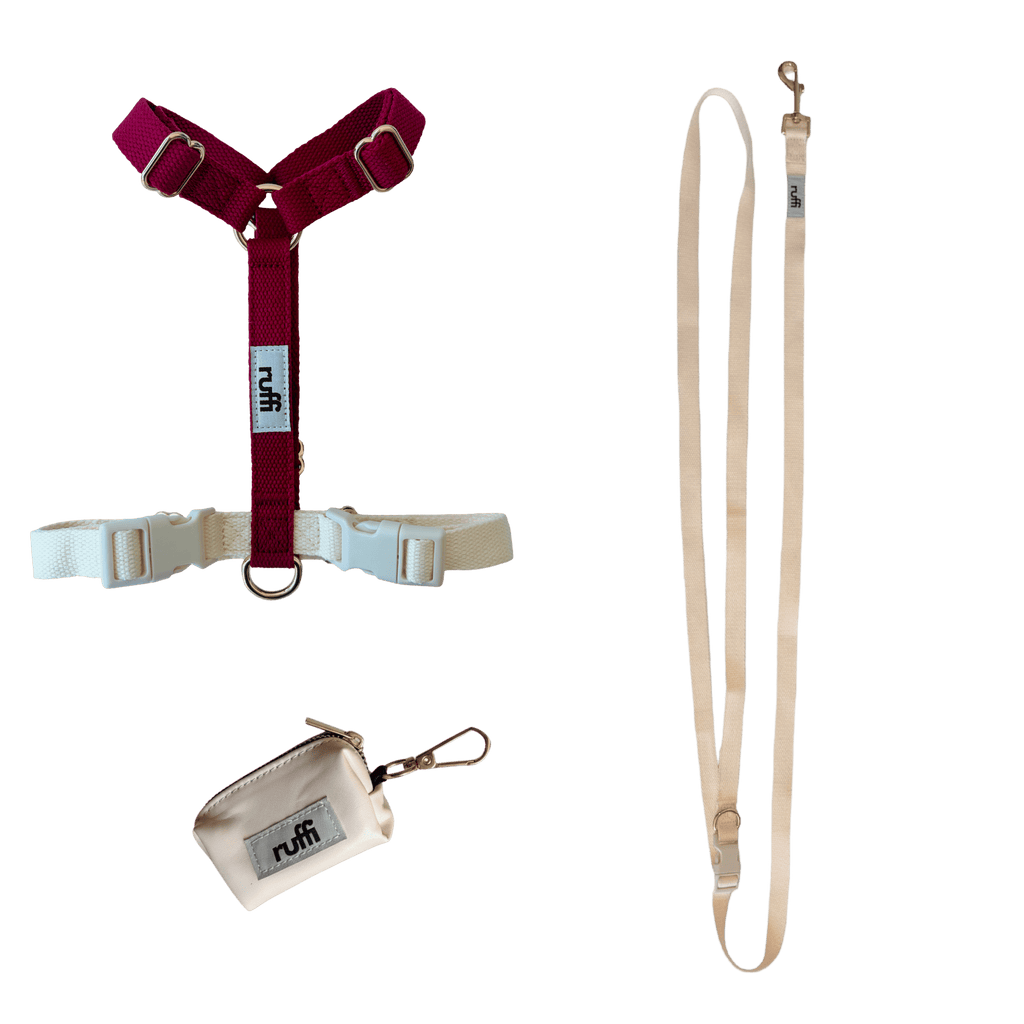 Harness Walk Set - Cream