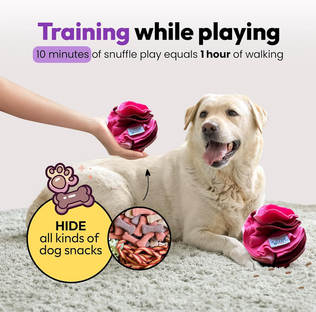 Snuffle Ball Interactive Feeder