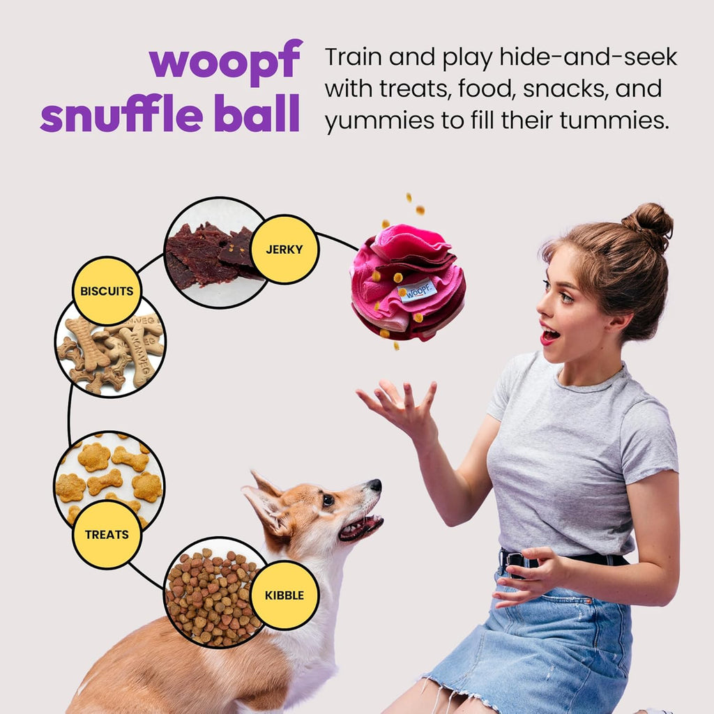 Snuffle Ball Interactive Feeder