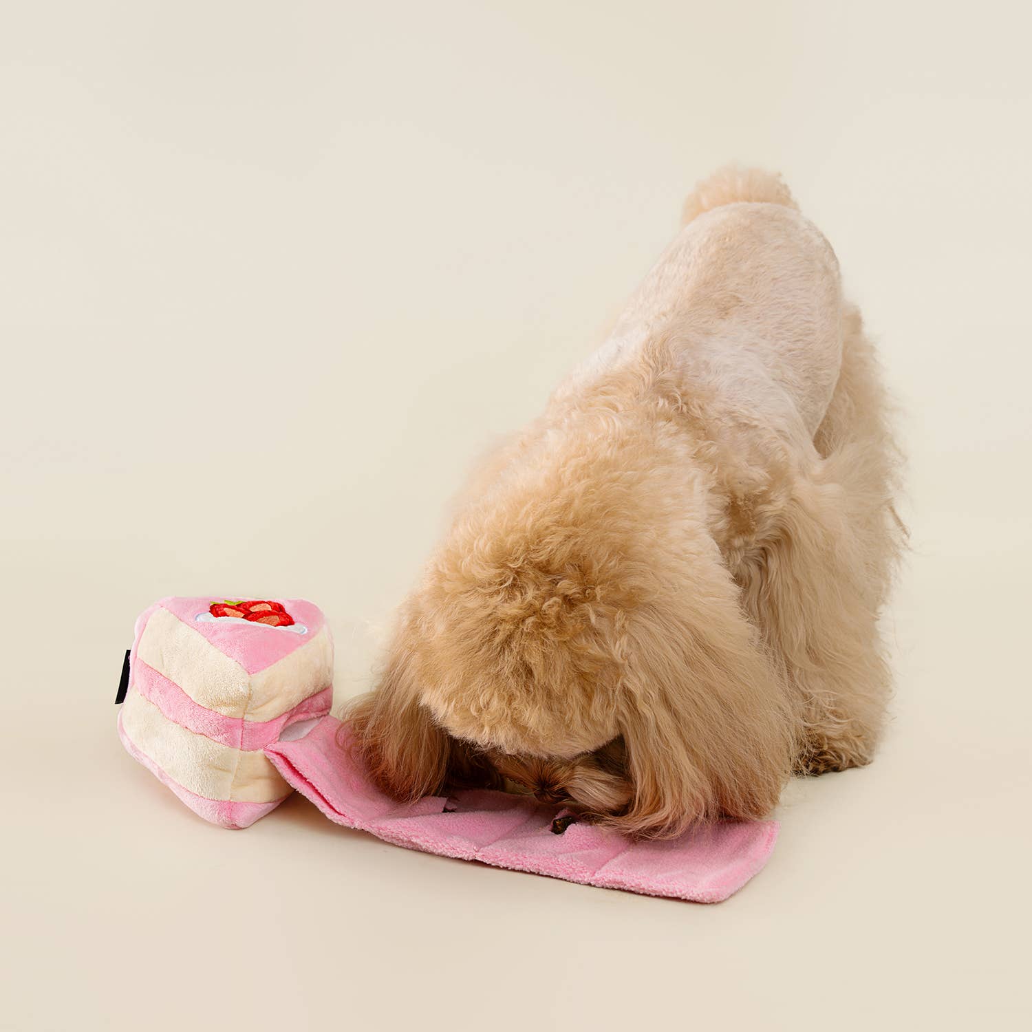 Dog playing with a pink and white plush toy on a beige surface