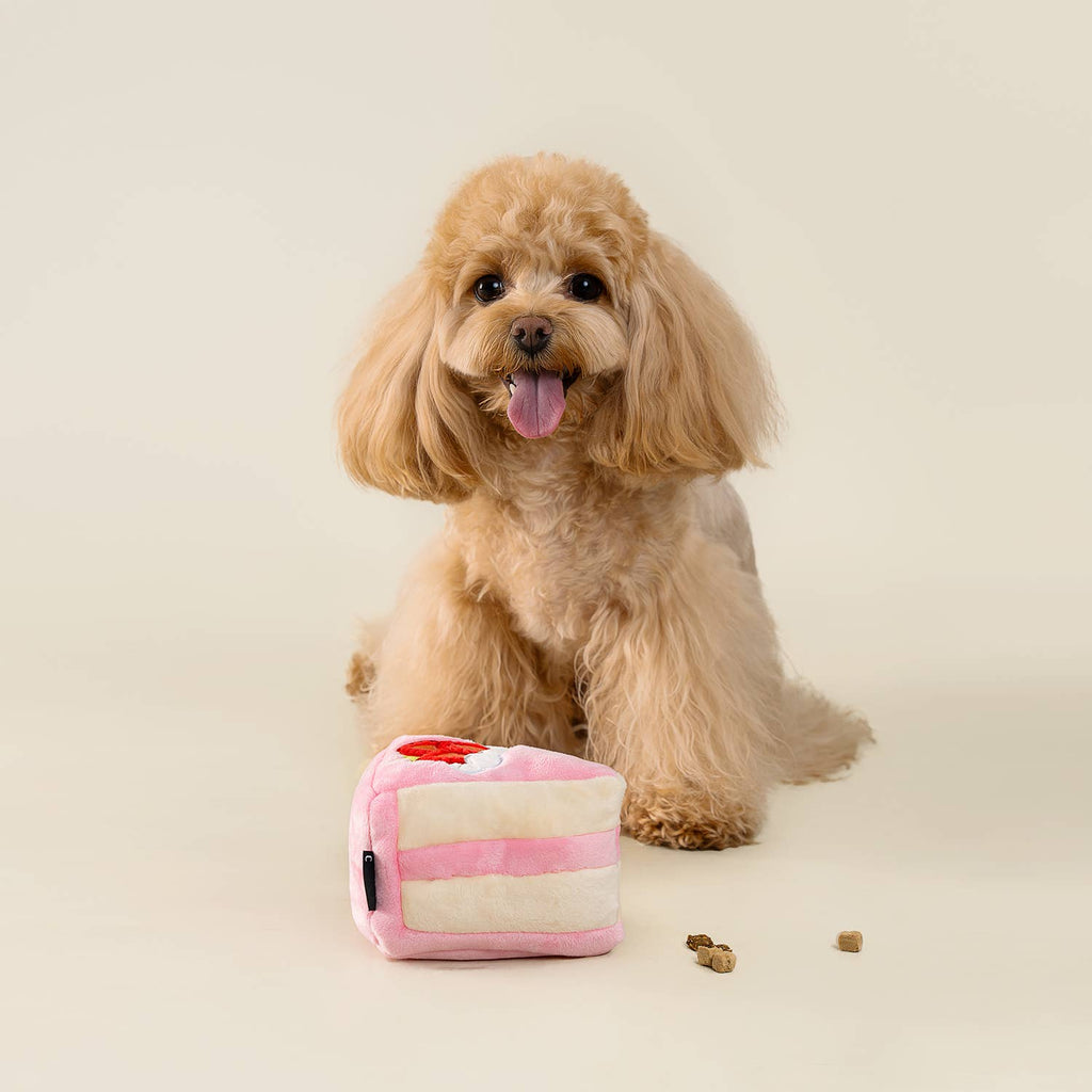 Small dog with a pink and white striped toy on a beige background