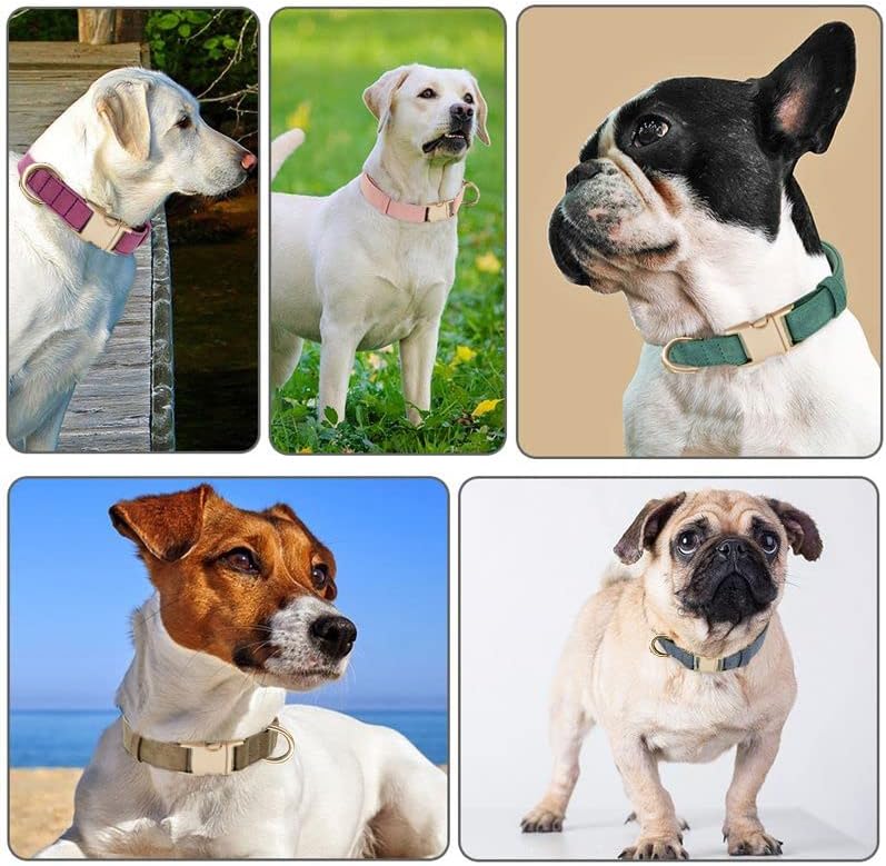Ultra Soft Dog Collar - Corduroy Size Medium