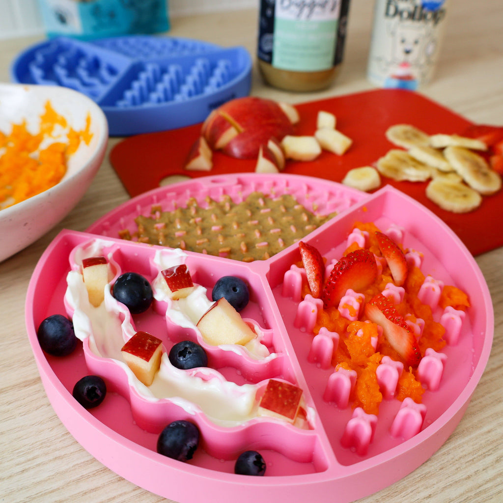 Textured Enrichment Slow Feeding Dish & Lick Mat
