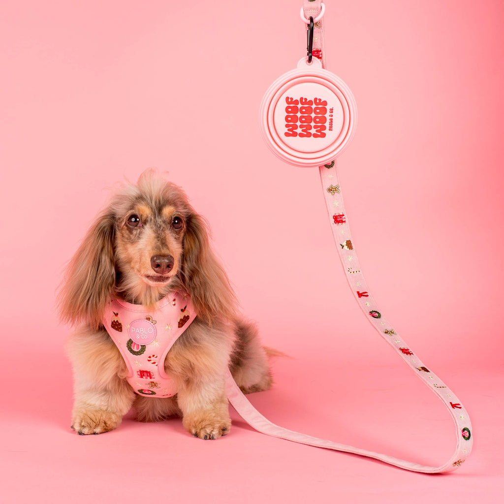 Collapsible Dog Water Bowl - Woof