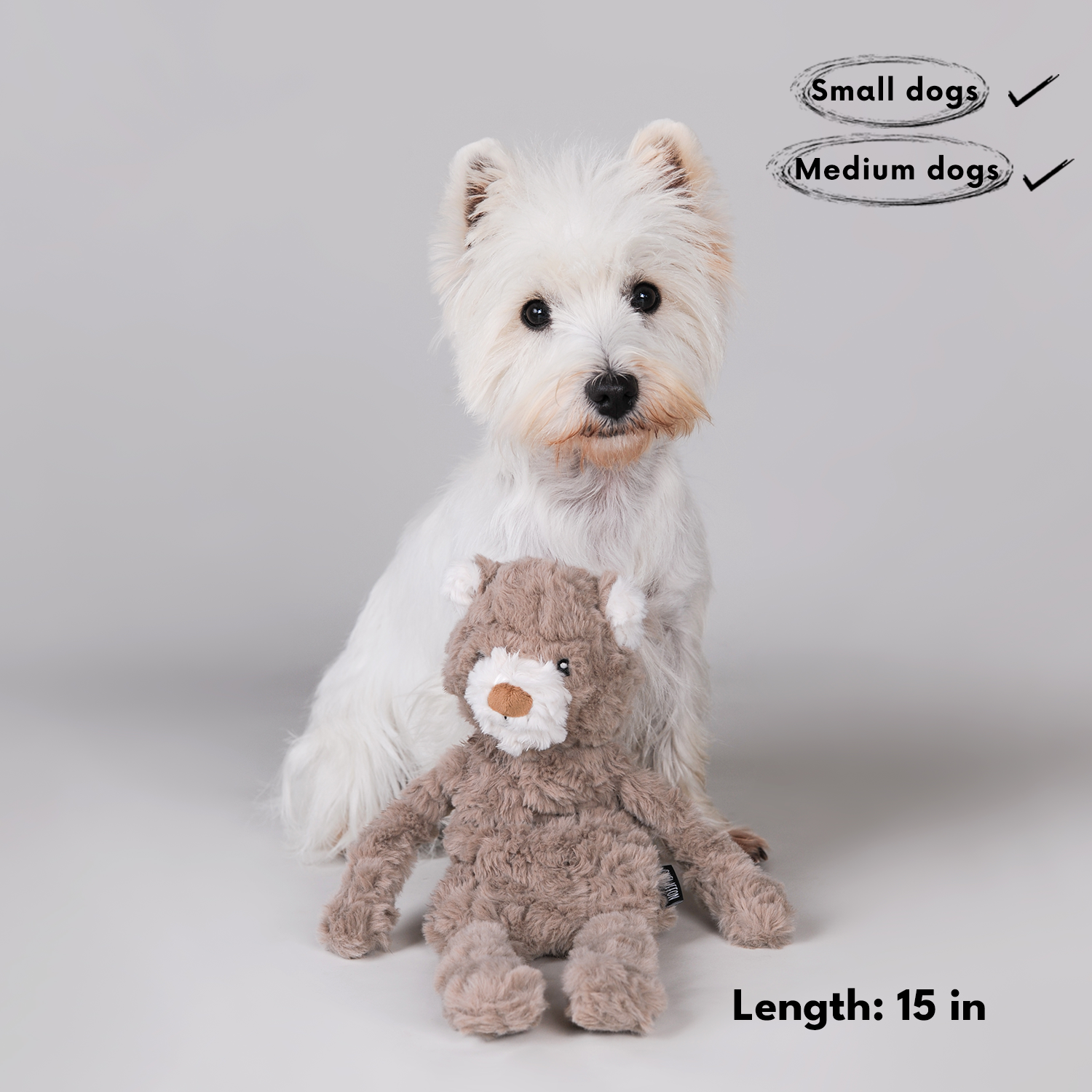 CHEWFFON No-Stuffing Teddy Bear Snuffle Dog Toy