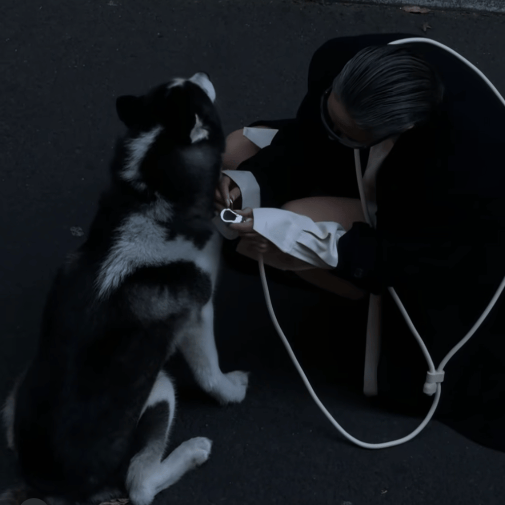 HANDS FREE LEAD - Cream