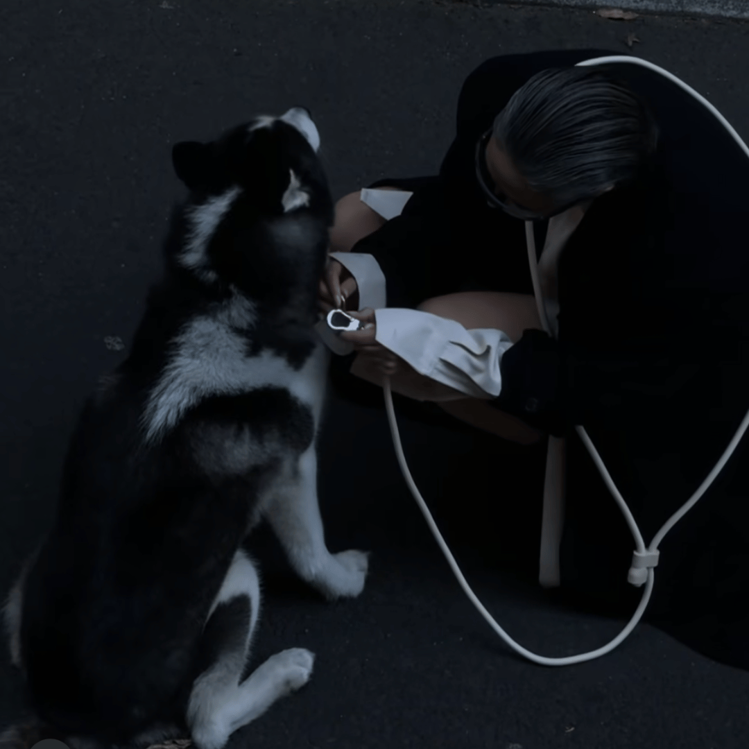 HANDS FREE LEAD - Cream