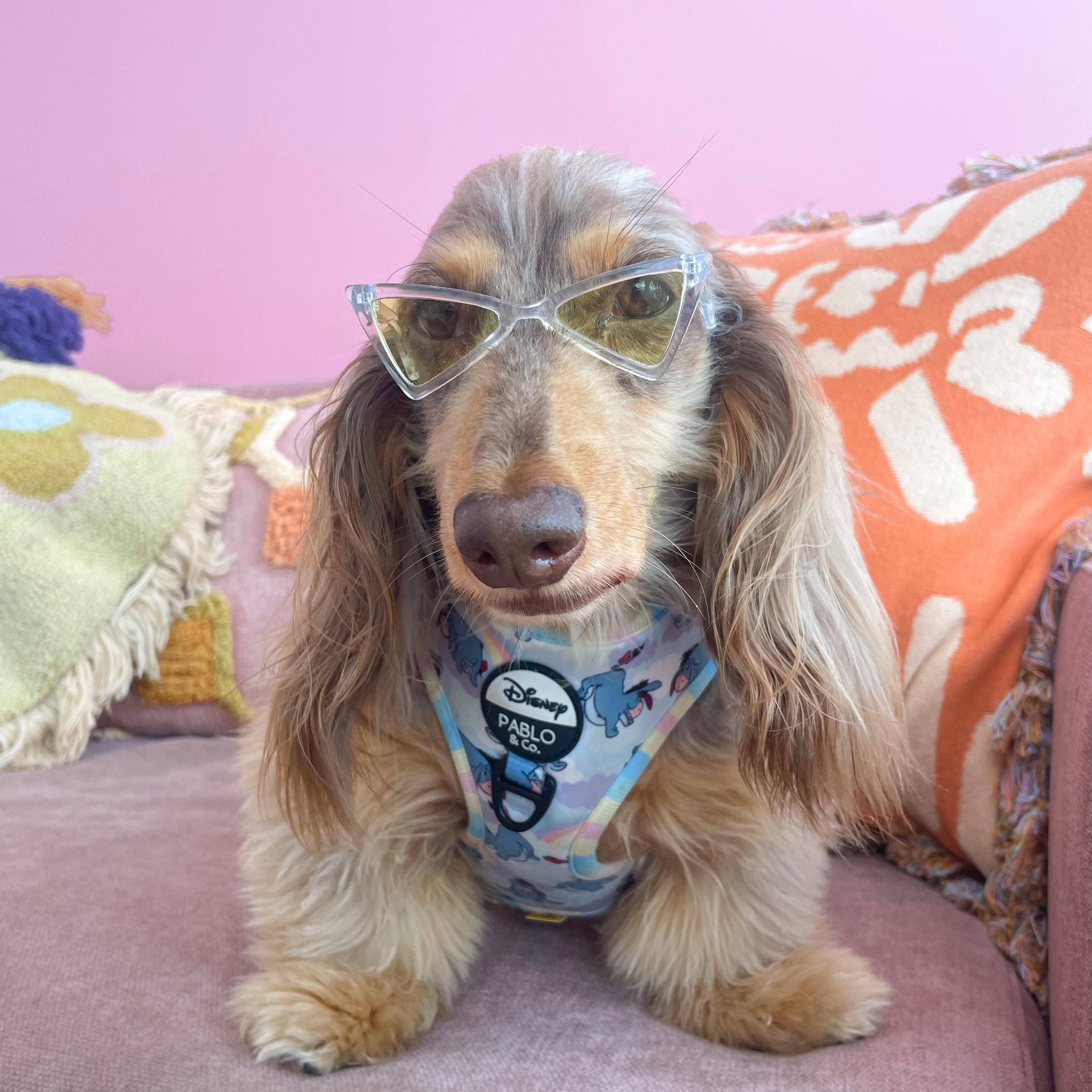 Dog Pet Sunglasses