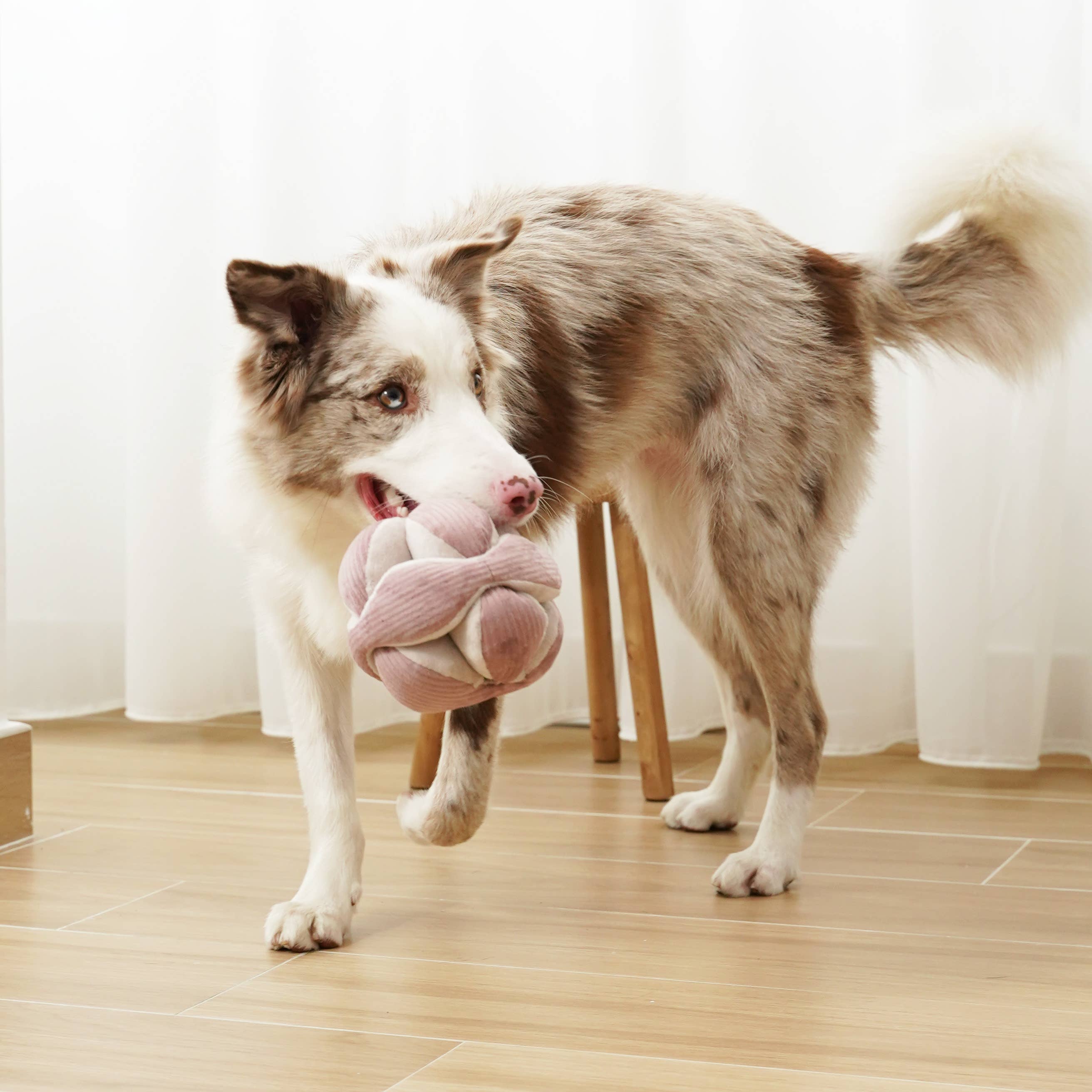 Lambwolf Collective: Monti Dog Enrichment Toy: Purple