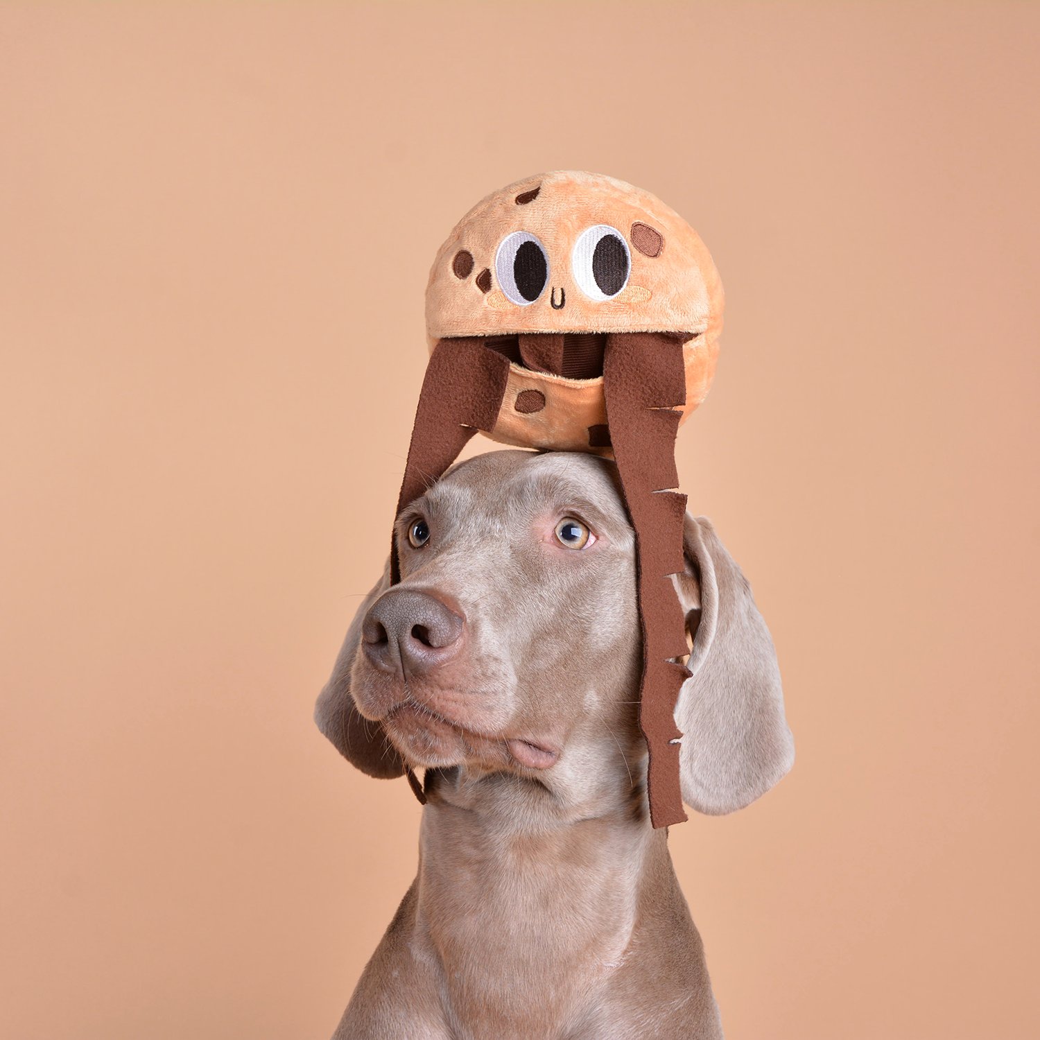 CHEWFFON Holiday Cookie Snuffle Soft Puzzle Treat Dog Toy