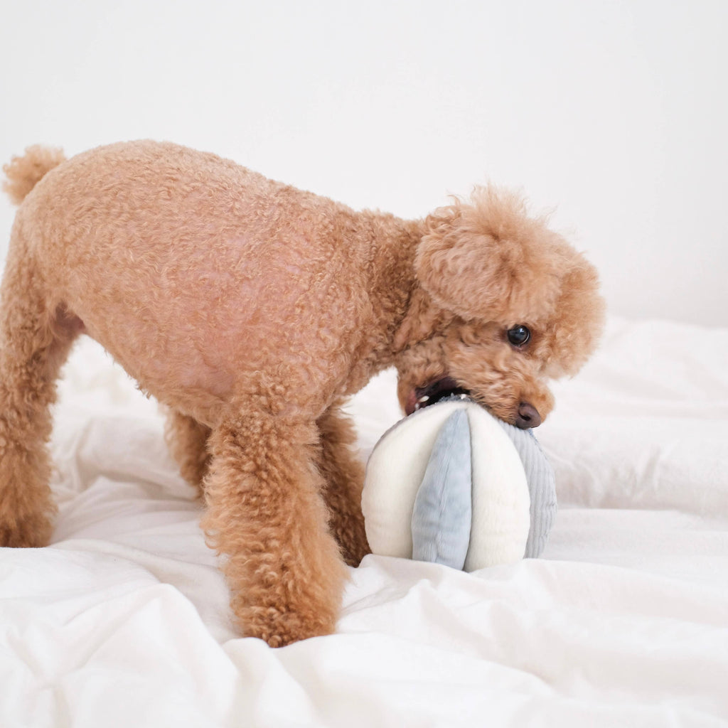 Lambwolf Collective: Toto Dog Enrichment Toy