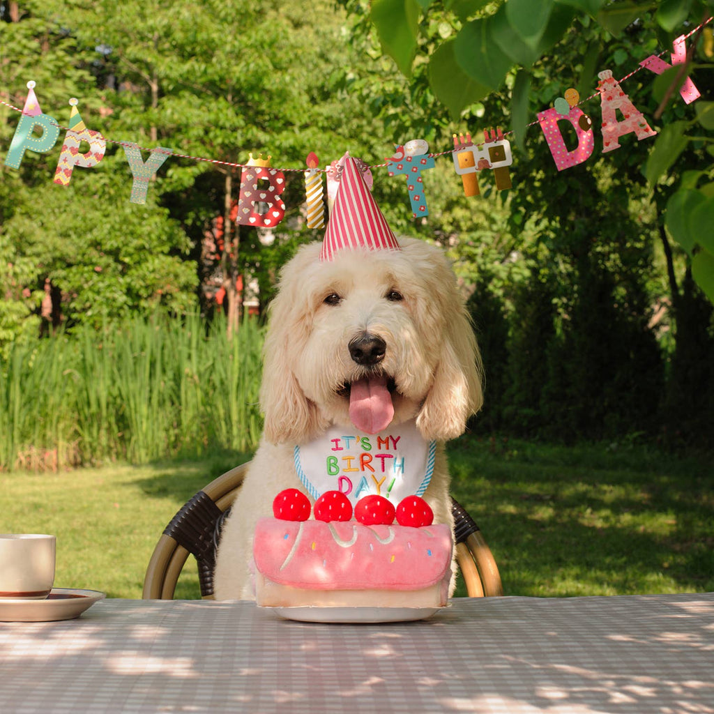 Strawberry Roll Cake Dog Puzzle Toy