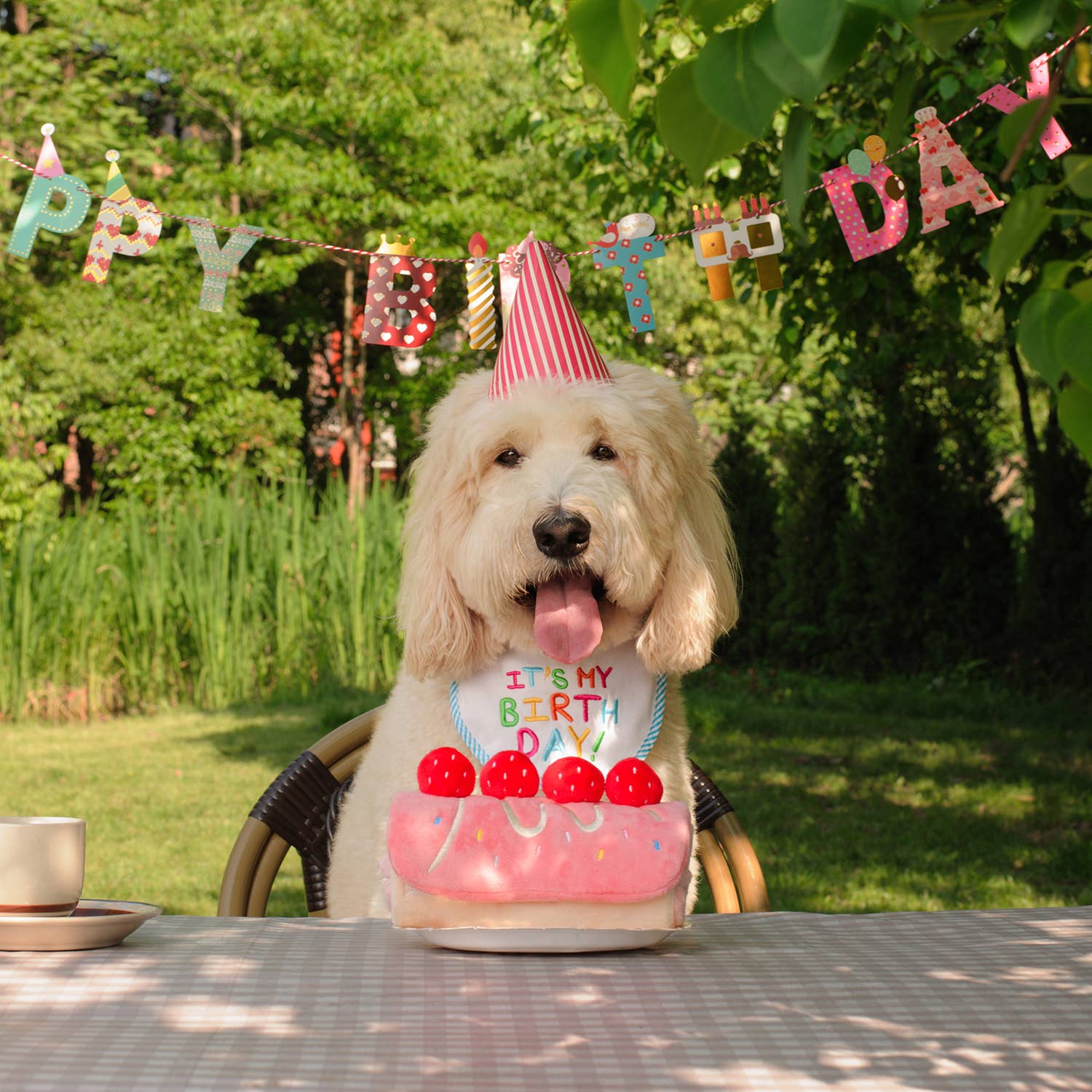 Strawberry Roll Cake Dog Puzzle Toy