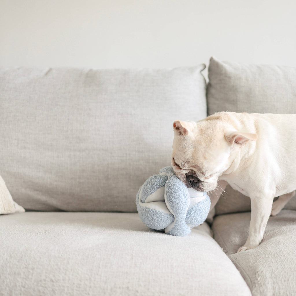 Lambwolf Collective: Monti Dog Enrichment Toy