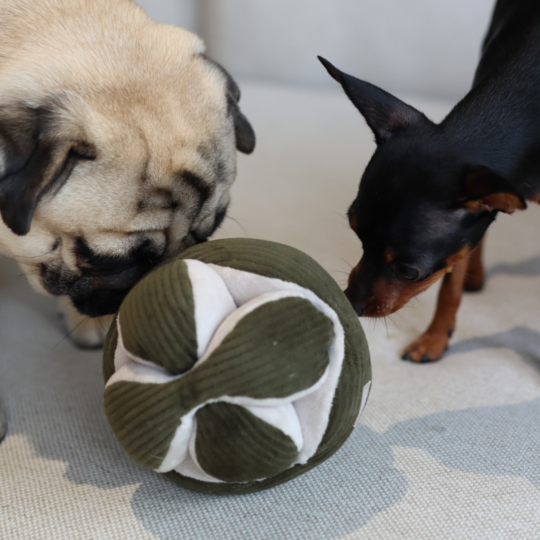 Lambwolf Collective: Monti Dog Enrichment Toy