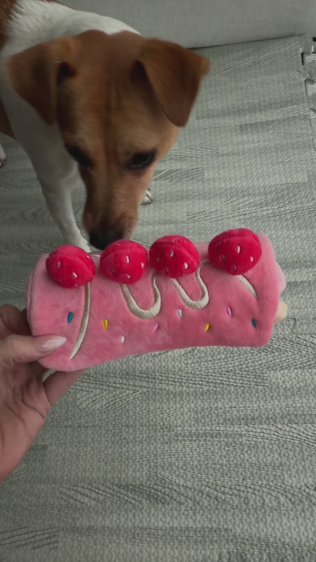 Strawberry Roll Cake Dog Puzzle Toy
