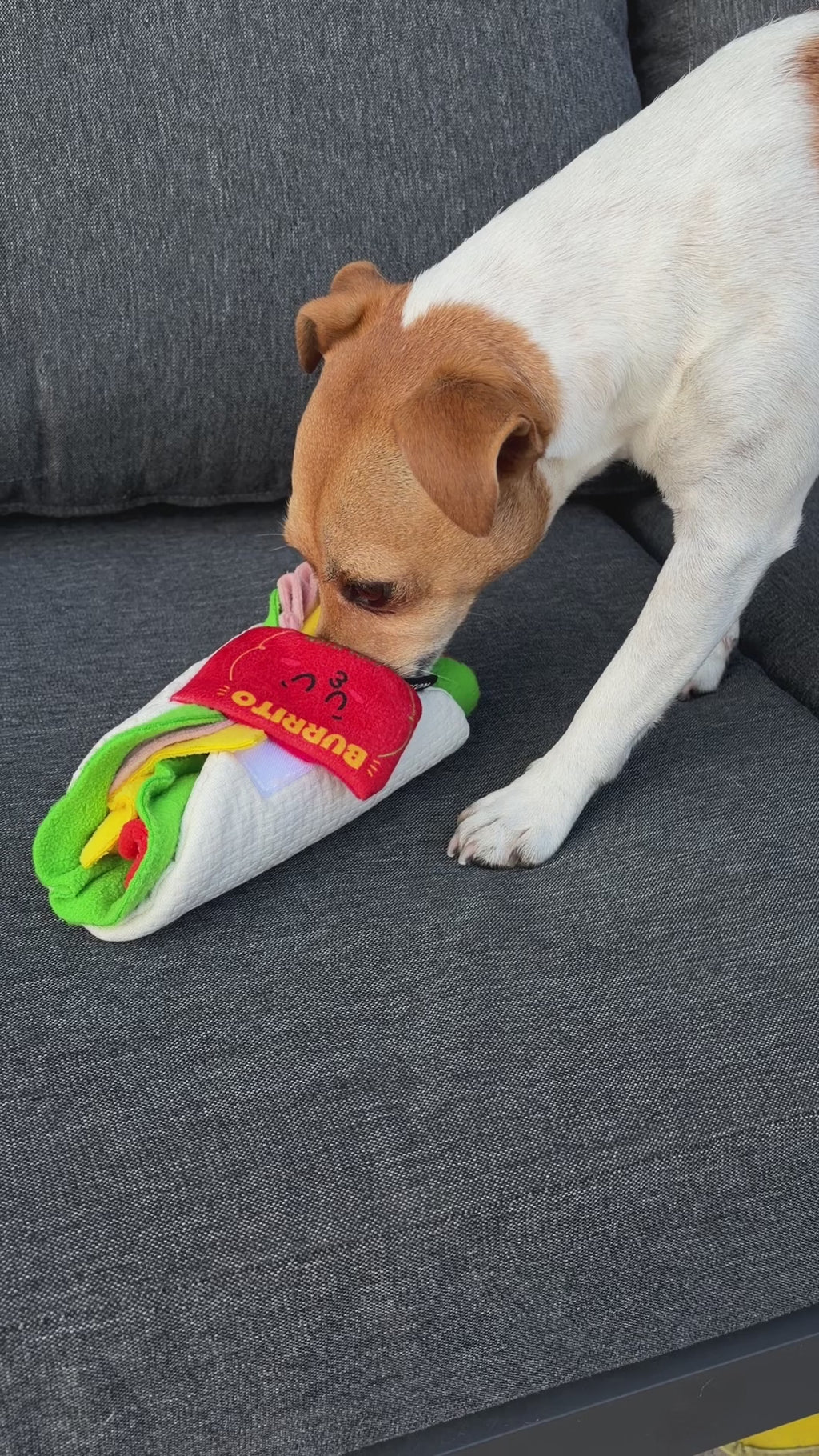 Burrito Snuffle Enrichment Dog Toy
